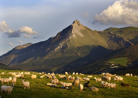 Imagen del monte Txindoki, al pie del que se encuentra Logikaline