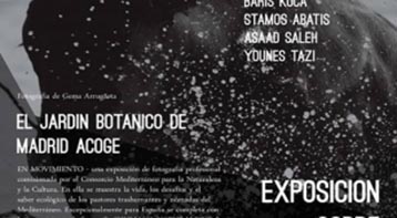 exposición de Gema Arrugaeta 